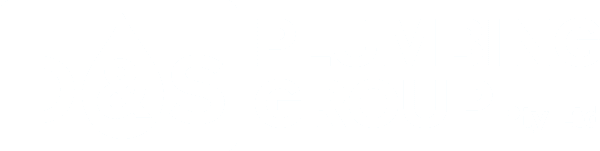 D&S Plumbing Group Logo